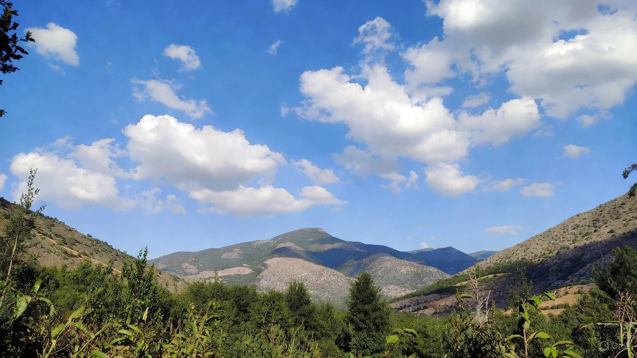 erson waving goodbye at airport with suitcase, ready for travel adventure