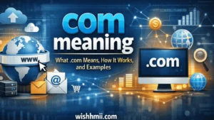 com meaning: What .com Means, How It Works, and Examples
