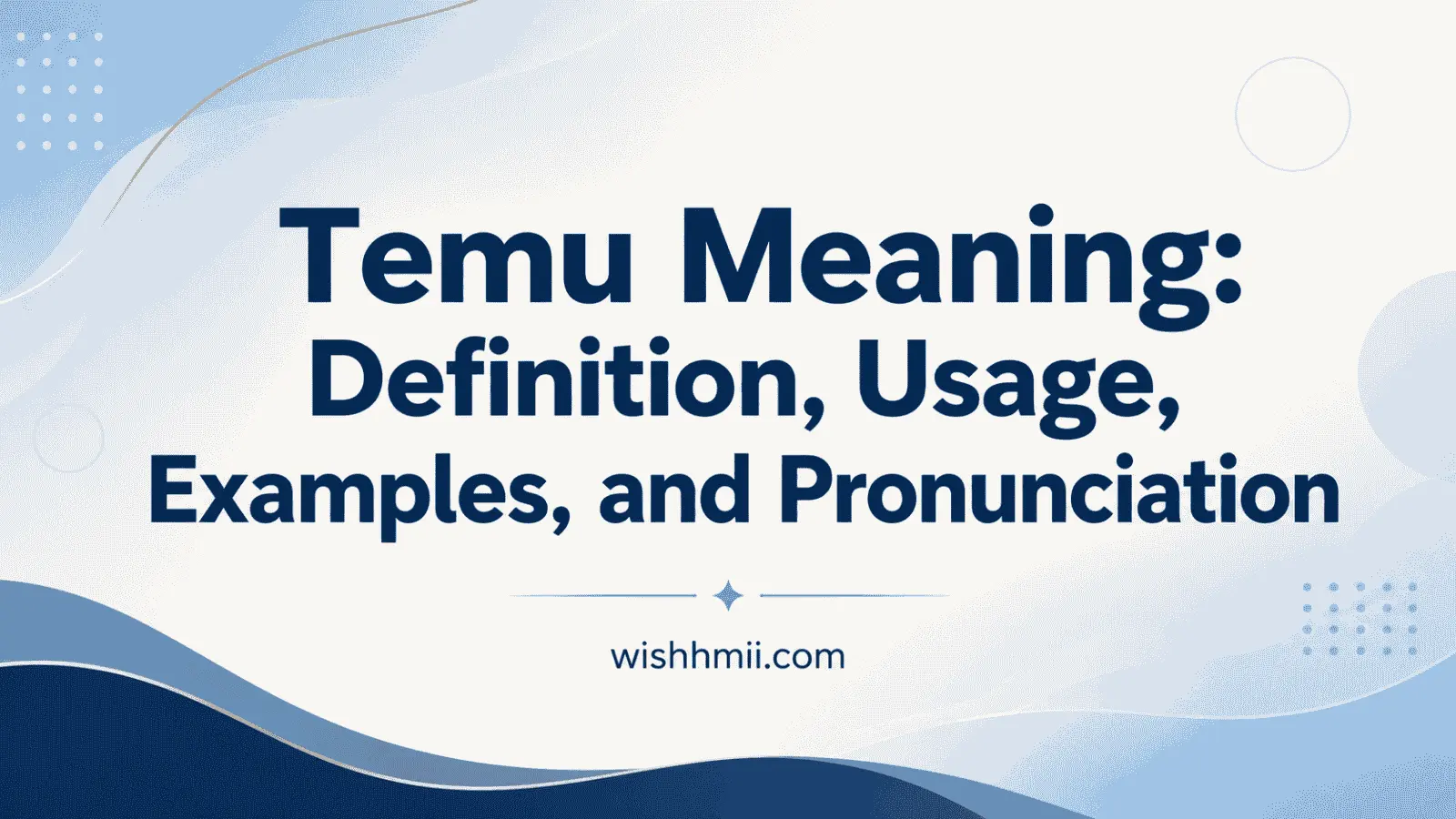 Temu Meaning: Definition, Usage, Examples, and Pronunciation